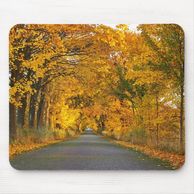 Autumn Avenue Trees Away Road Mouse Pad (Front)