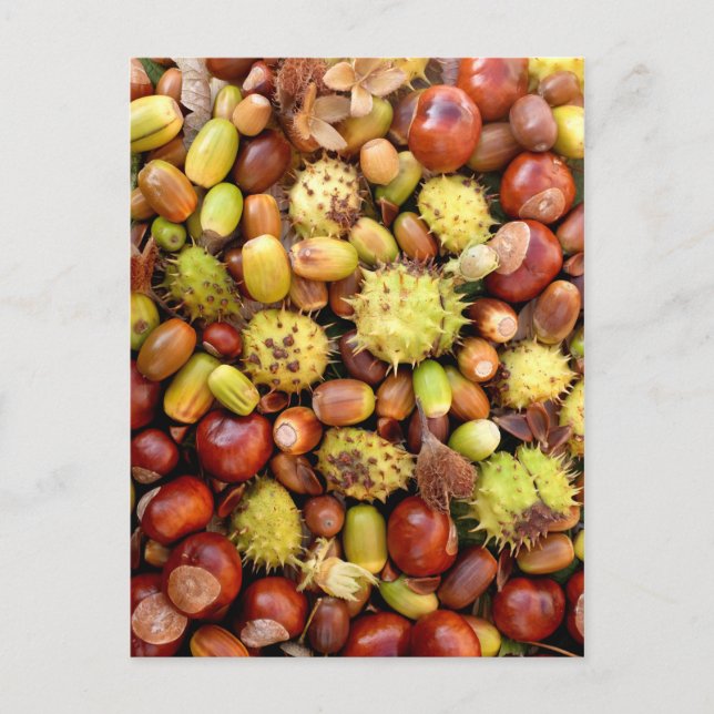 Autumn background postcard (Front)