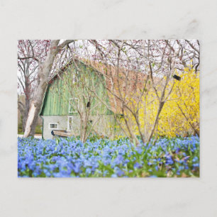 Autumn Barn with Blue Flower Field Postcard