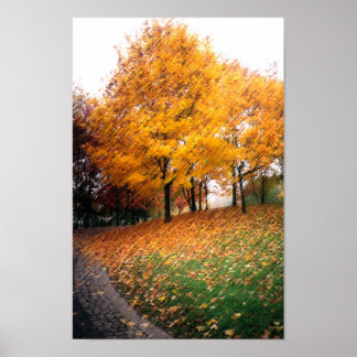 Autumn beatiful View Poster
