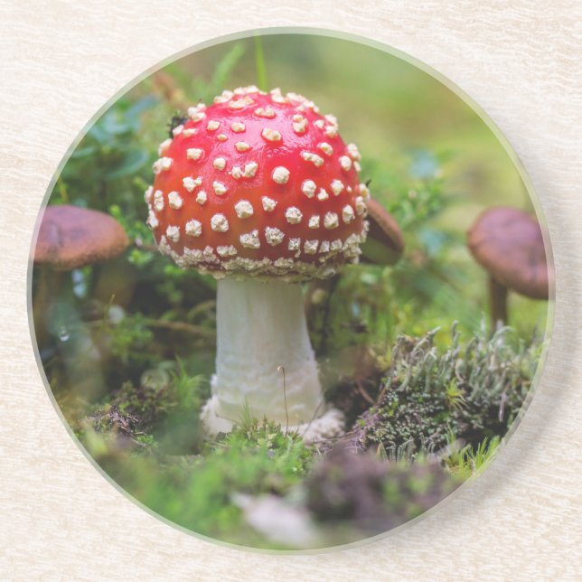 Autumn Beauty Coaster (Front)