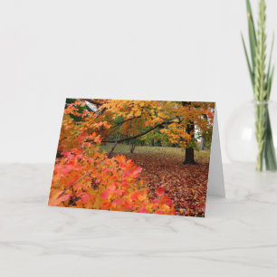 Autumn Beauty Holiday Card