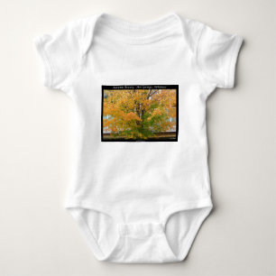 Autumn Beauty Hot Springs, Arkansas Apparel Gifts Baby Bodysuit