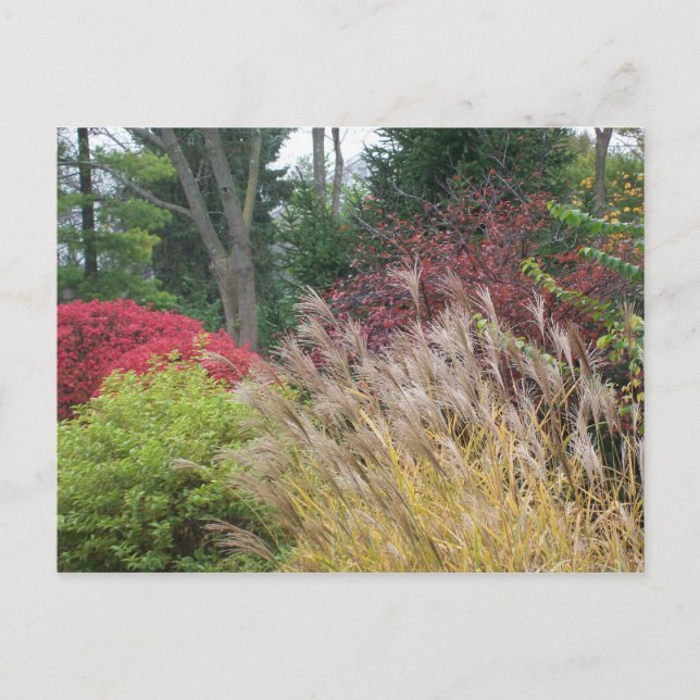 Autumn beauty in Ohio Postcard (Front)