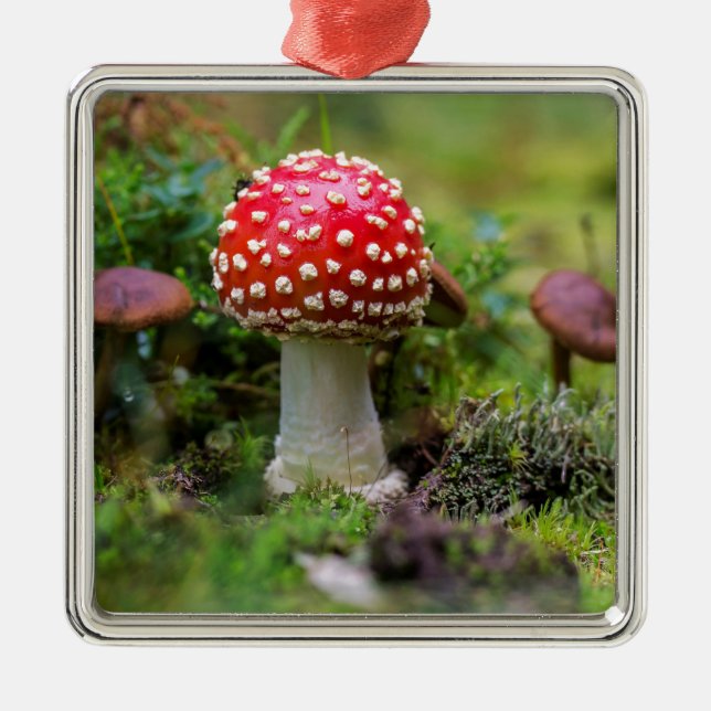 Autumn Beauty Metal Tree Decoration (Front)