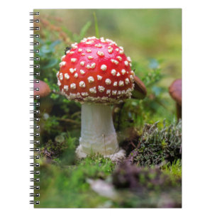 Autumn Beauty Notebook