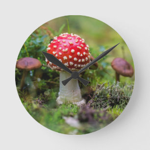 Autumn Beauty Round Clock