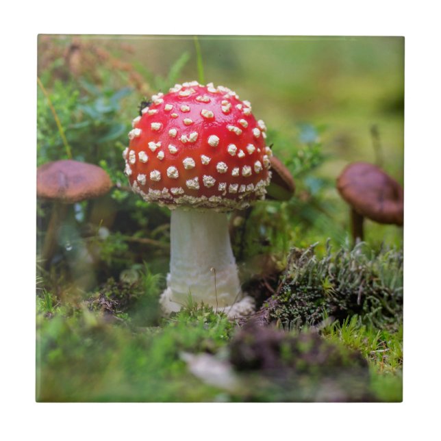 Autumn Beauty Tile (Front)