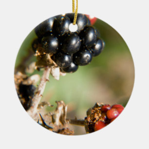 Autumn Berries Ceramic Tree Decoration