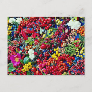 Autumn berries  flowers postcard