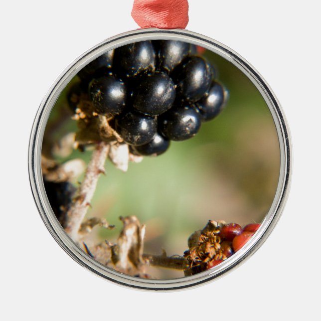 Autumn Berries Metal Tree Decoration (Front)