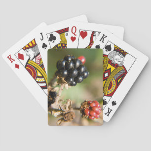 Autumn Berries Playing Cards