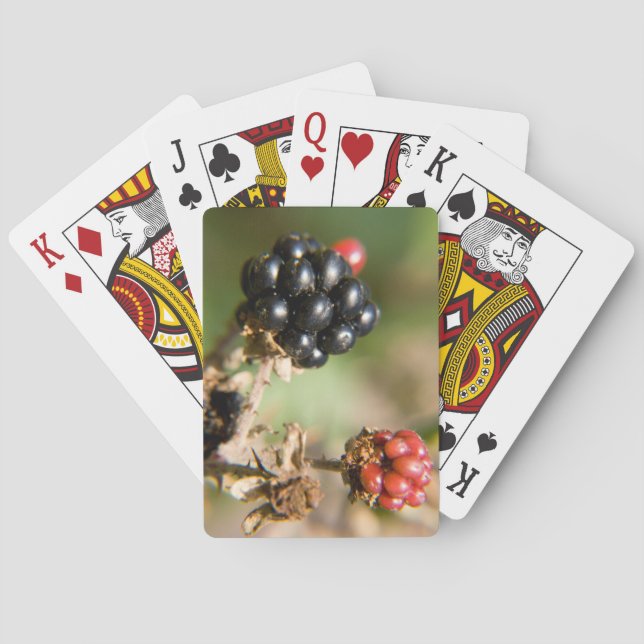 Autumn Berries Playing Cards (Back)