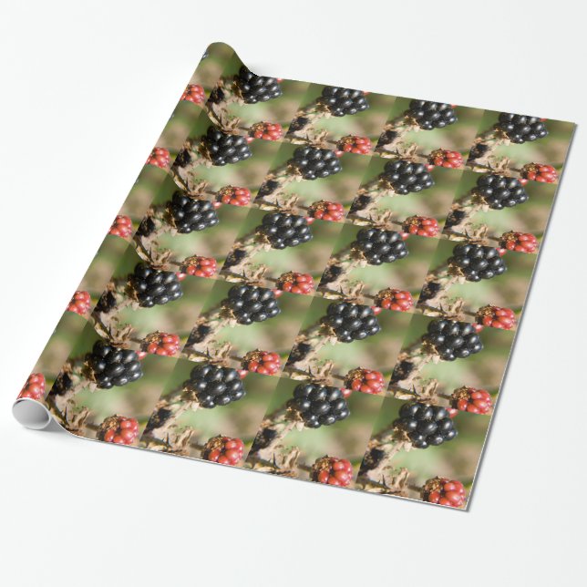 Autumn Berries Wrapping Paper (Unrolled)