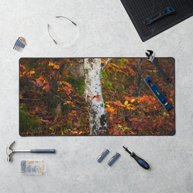 Autumn birch in mossy forest desk mat (Workstation)