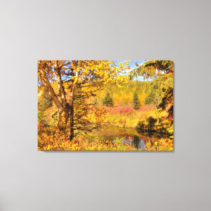 Autumn Birch Tree Canvas Print