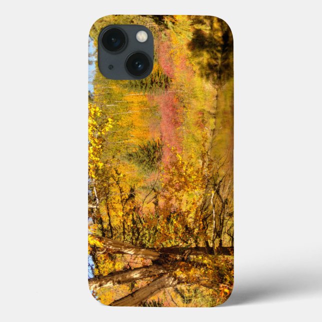 Autumn Birch Tree Case-Mate iPhone Case (Back)