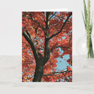 AUTUMN (blank card) Card