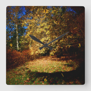 Autumn Blast on the Stourhead walk. Square Wall Clock