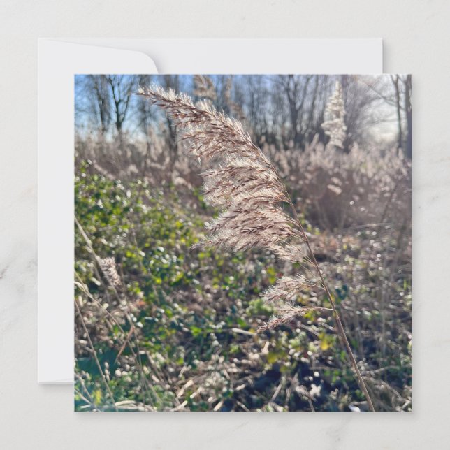 Autumn bliss.. invitation (Front)