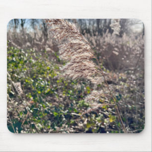 Autumn bliss.. mouse pad