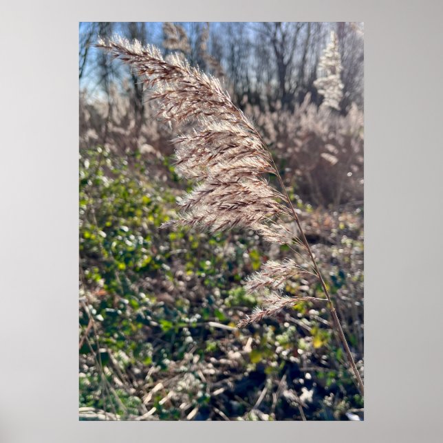 Autumn bliss.. poster (Front)