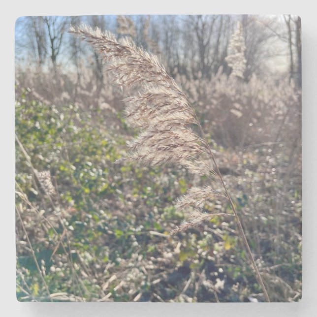 Autumn bliss.. stone coaster (Front)