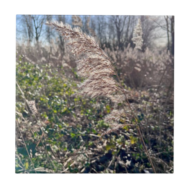 Autumn bliss.. tile (Front)