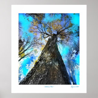 Autumn Blue Poster