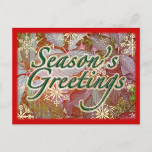 Autumn Brambles Holiday Season Items Postcard