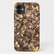 Autumn Brown Leaves Collection