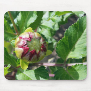 autumn bud mouse pad