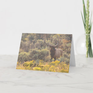 Autumn Bull Elk Custom Get Well Soon Card