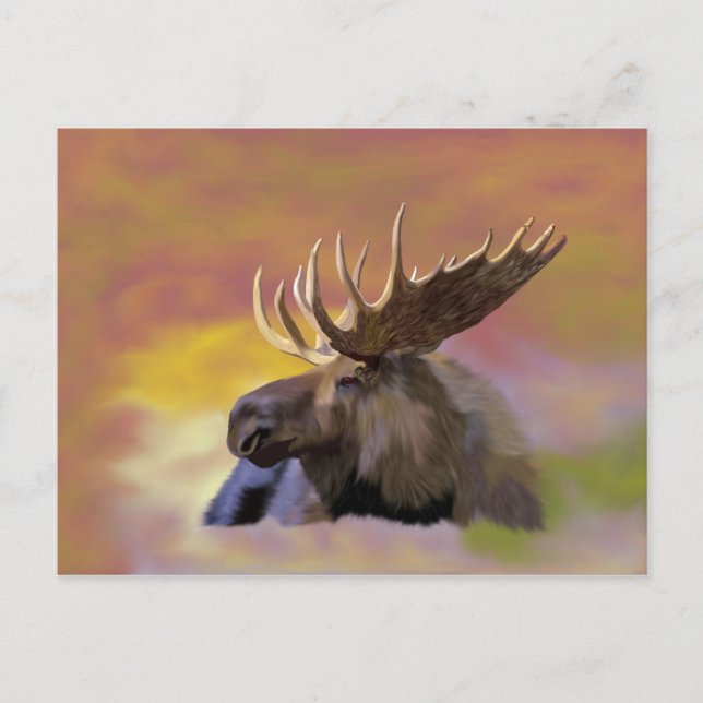 Autumn Bull Moose Postcard (Front)