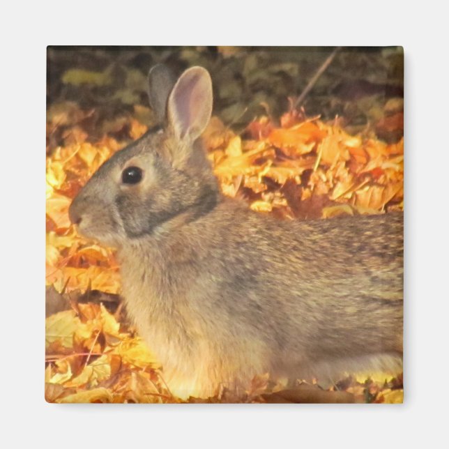 Autumn Bunny Magnet (Front)