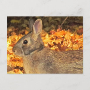 Autumn Bunny Postcard