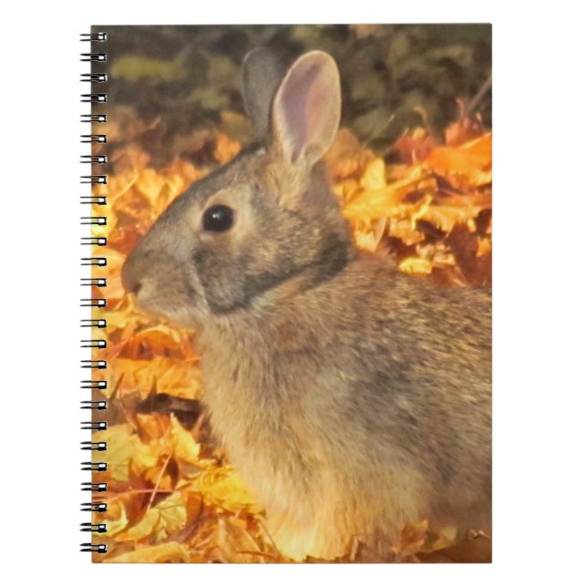 Autumn Bunny Spiral Notebook (Front)