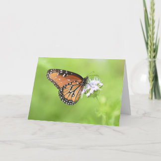 Autumn Butterfly Notecards (Blank Inside)