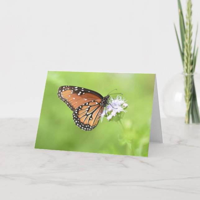 Autumn Butterfly Notecards (Blank Inside) (Front)