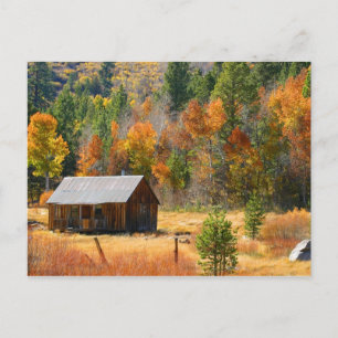 Autumn Cabin Postcard