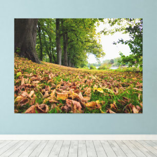 Autumn canvas print