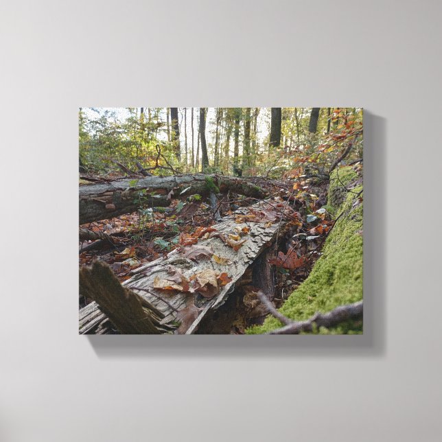 autumn canvas print (Front)