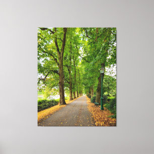 Autumn  canvas print