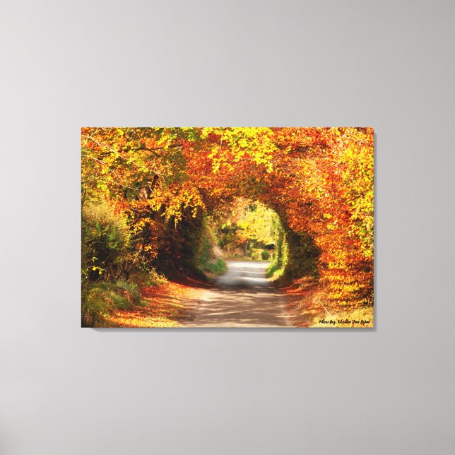 Autumn, Canvas Print, Yellow Bog Kilcullen (Front)