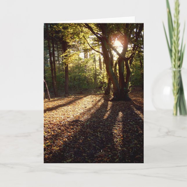 Autumn | card (Front)
