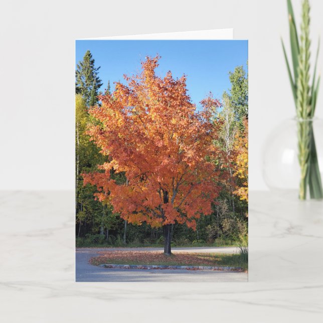 Autumn  card (Front)