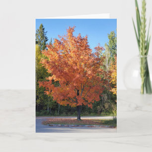 Autumn card