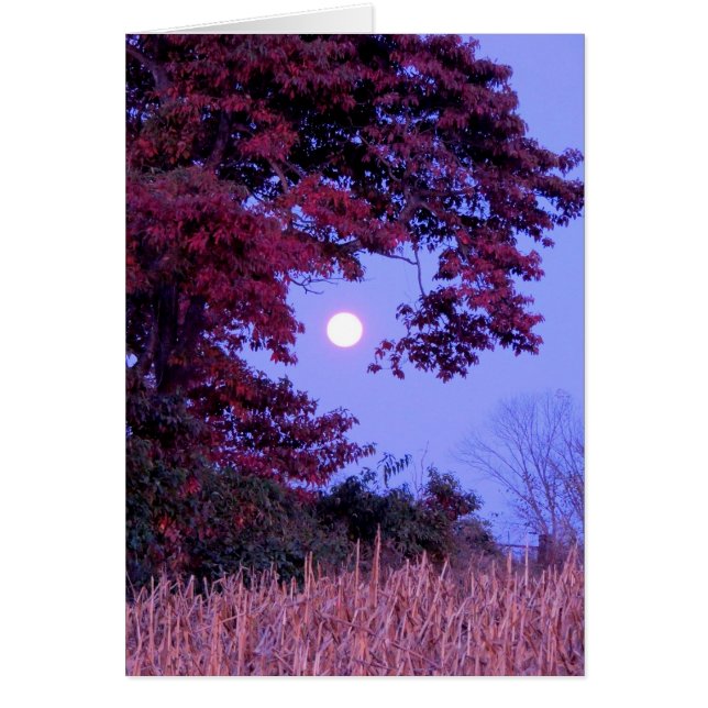 Autumn card with full moon, shingle oak. (Front)