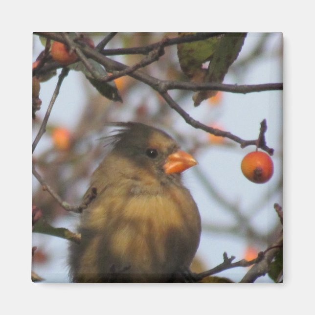 Autumn Cardinal Magnet (Front)