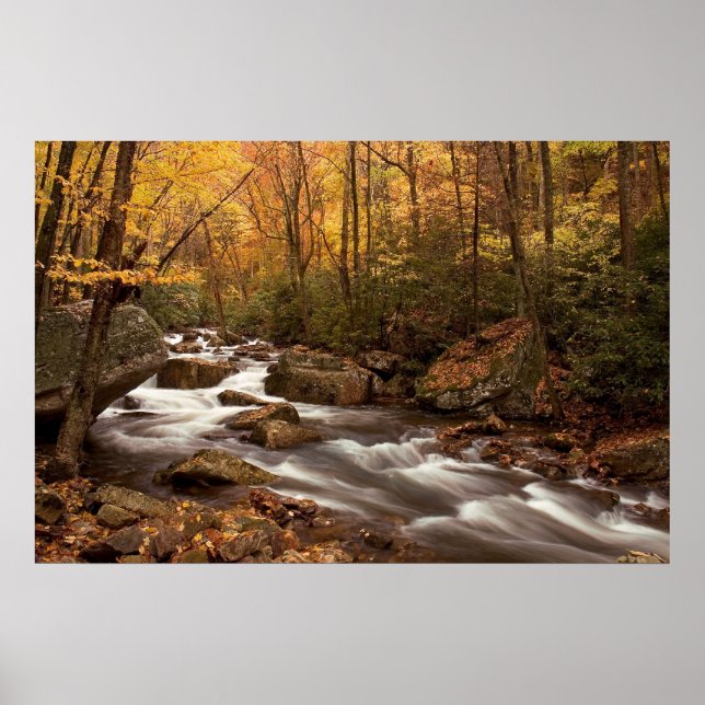 Autumn Cascade    Print (Front)